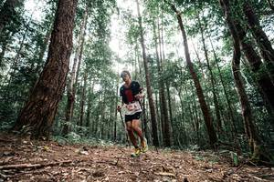 BIB: 
                            <button type="button" onclick="openModal(25261262)" class="btn btn-primary btn-sm float-right btn-popup" data-toggle="modal" data-target=".modal-high-quality">
                        <i class="fas fa-shopping-cart"></i> Add to Cart
                    </button>
                                            <button type="button" onclick="isThisMe(25261262, true)" class="btn btn-success btn-sm float-right btn-popup btn-isme hidden" data-toggle="tooltip" data-placement="bottom" title="นี่คือรูปของคุณใช่ไหม คลิกที่นี่เพื่อเอาเข้าอัลบั้ม">
                        <i class="fas fa-plus"></i> Add to album
                    </button>
                    <button type="button" onclick="isThisMe(25261262, false)" class="btn btn-warning btn-sm float-right btn-popup btn-isnotme hidden">
                        <i class="fas fa-ban"></i> Remove from album
                    </button>